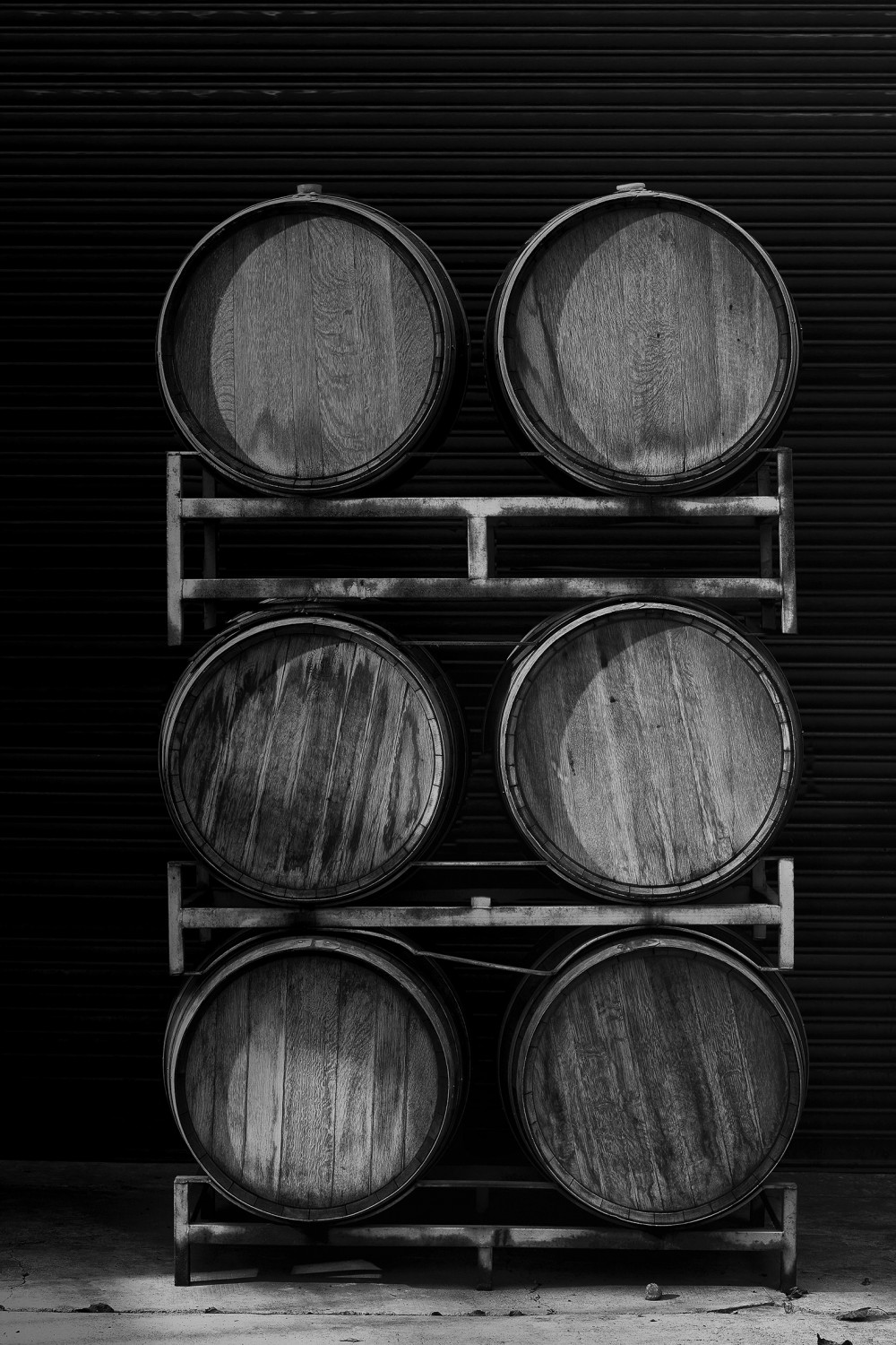 Nieto Senetiner paisajes Nieve image